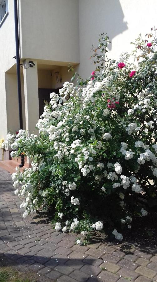 Villa Honoratka Z Prywatnym Polem Do Gry W Mini Golf Rewal Exteriér fotografie