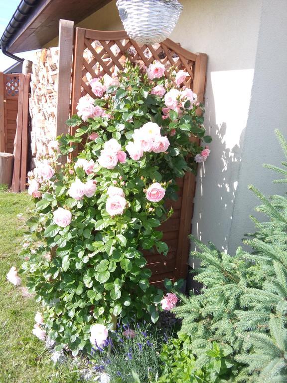 Villa Honoratka Z Prywatnym Polem Do Gry W Mini Golf Rewal Exteriér fotografie